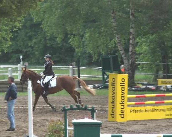 Pfingstturnier Mettingen 2015