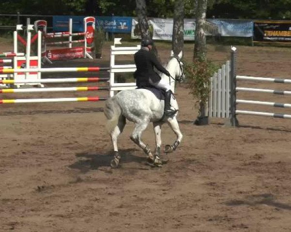 Pfingstturnier Mettingen 2015