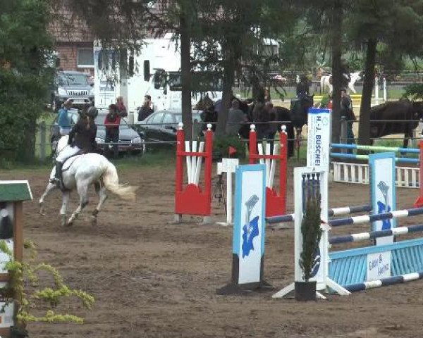 Pfingstturnier Mettingen 2015
