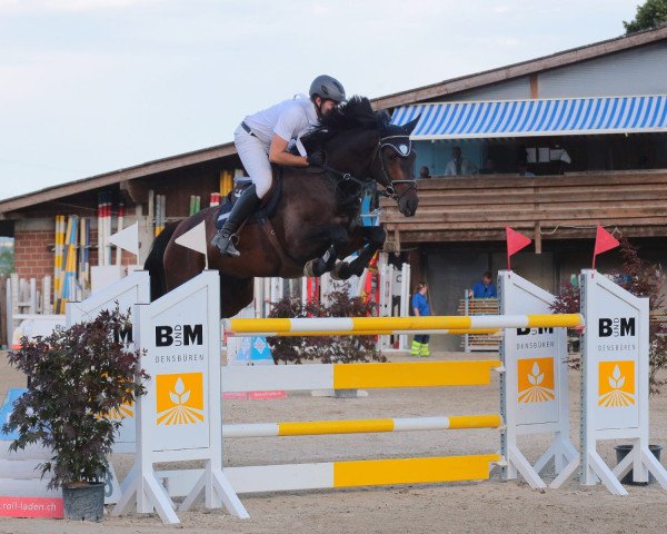 broodmare F-Chanelle (Holsteiner, 2013, from Canturat)