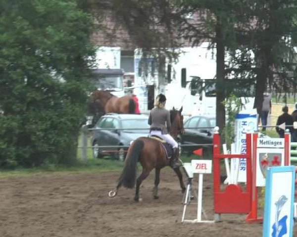 Pfingstturnier Mettingen 2015