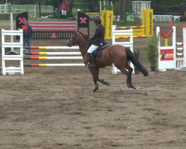 Pfingstturnier Mettingen 2015