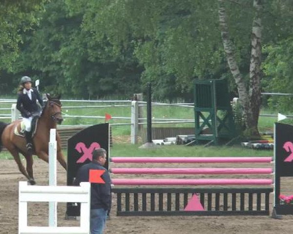 Pfingstturnier Mettingen 2015