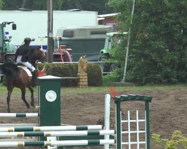 Pfingstturnier Mettingen 2015