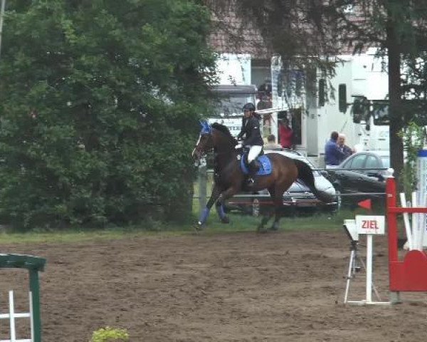 Pfingstturnier Mettingen 2015