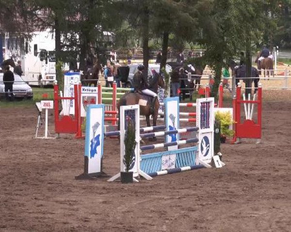 Pfingstturnier Mettingen 2015