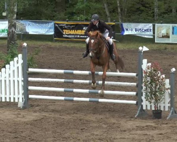 Pfingstturnier Mettingen 2015
