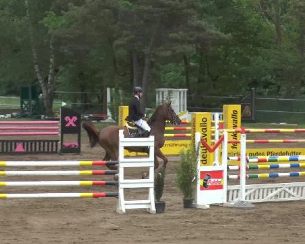Pfingstturnier Mettingen 2015