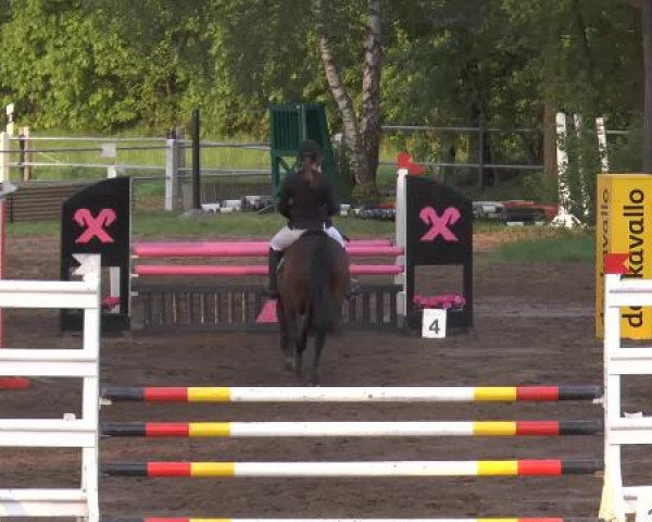 Pfingstturnier Mettingen 2015