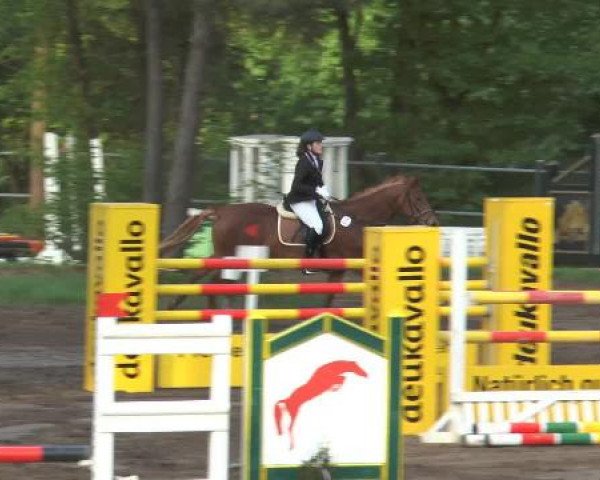 Pfingstturnier Mettingen 2015