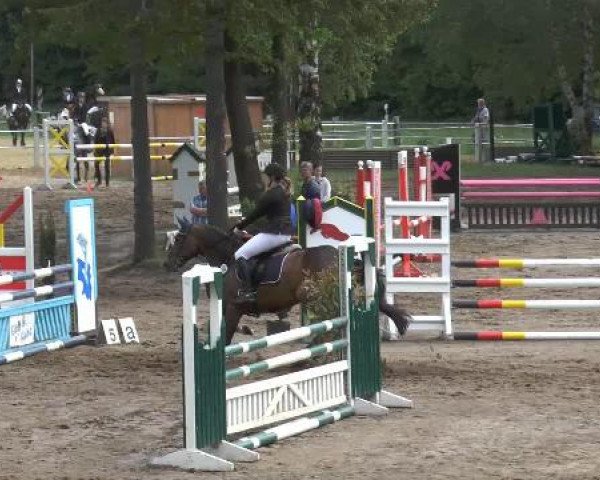 Pfingstturnier Mettingen 2015