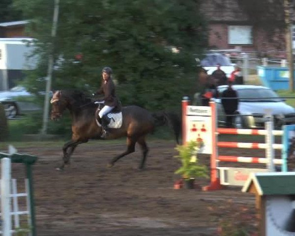 Pfingstturnier Mettingen 2015
