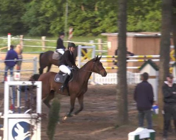 Pfingstturnier Mettingen 2015