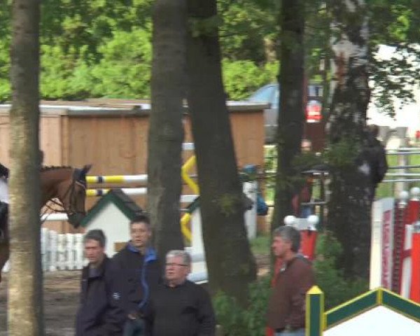 Pfingstturnier Mettingen 2015