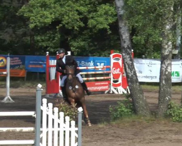 Pfingstturnier Mettingen 2015