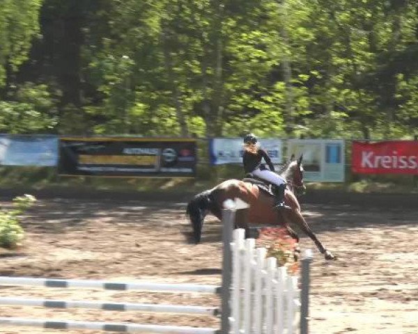 Pfingstturnier Mettingen 2015
