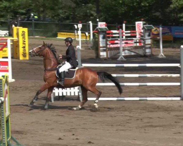 Pfingstturnier Mettingen 2015