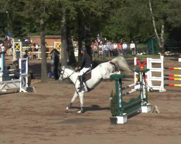 Pfingstturnier Mettingen 2015