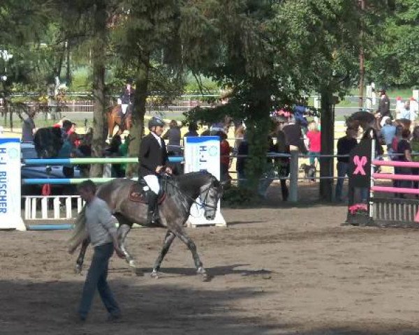 Pfingstturnier Mettingen 2015