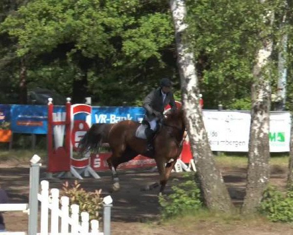 Pfingstturnier Mettingen 2015