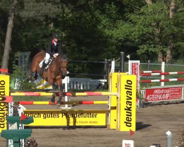 Pfingstturnier Mettingen 2015