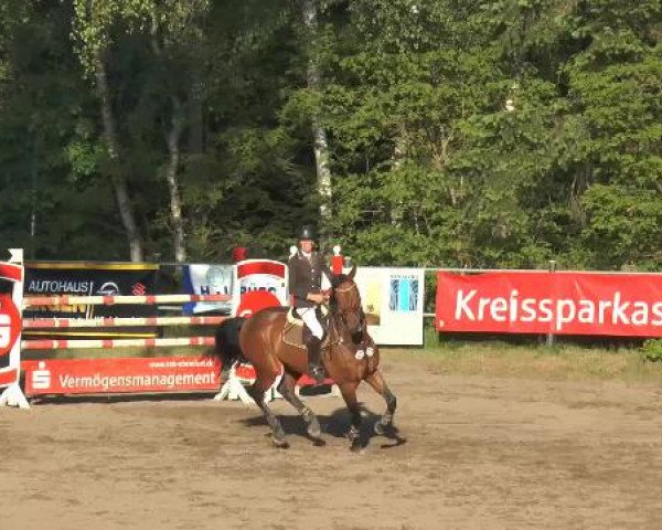 Pfingstturnier Mettingen 2015