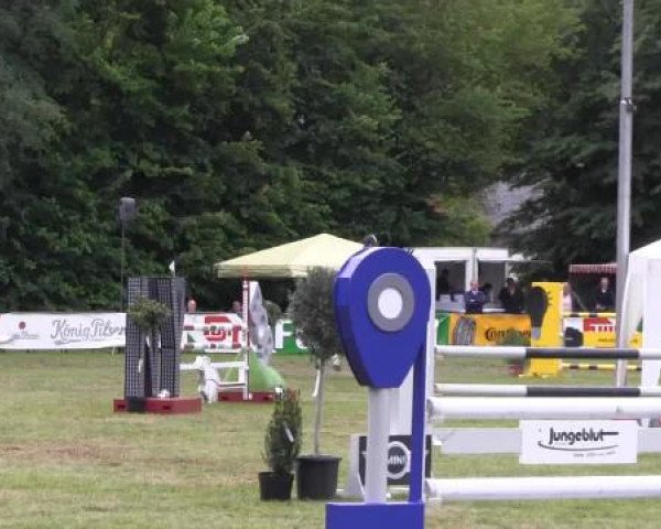 Pfingst - Dressur und Springturnier Borken 2015