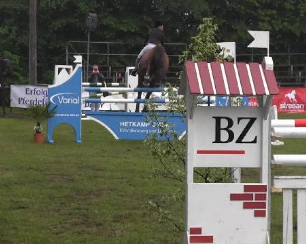 Pfingst - Dressur und Springturnier Borken 2015
