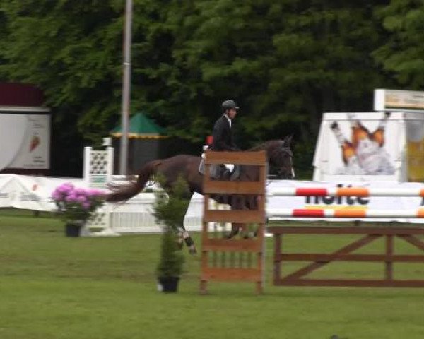 Pfingst - Dressur und Springturnier Borken 2015