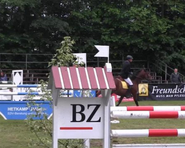 Pfingst - Dressur und Springturnier Borken 2015