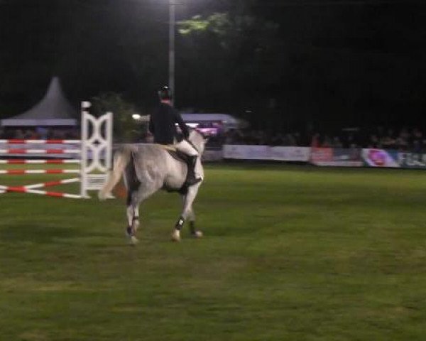 Pfingst - Dressur und Springturnier Borken 2015