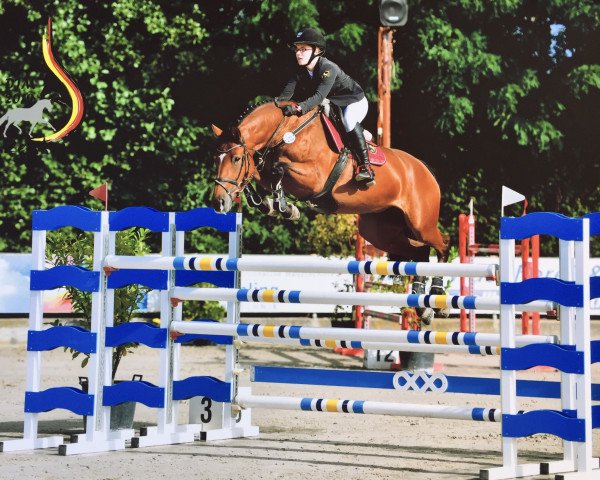 jumper Carpani 2 (Hanoverian, 2011, from Contagio)
