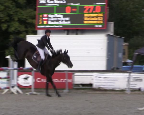Jezdecké závody Emsbüren 2026