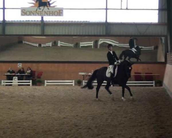 Frechen-Grefrath 2015