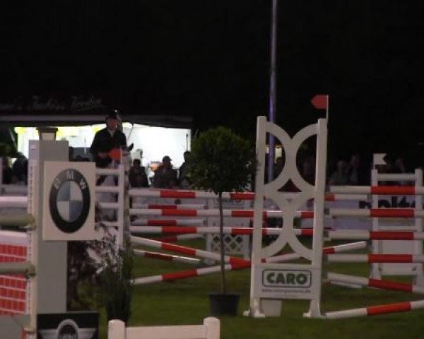 Pfingst - Dressur und Springturnier Borken 2015