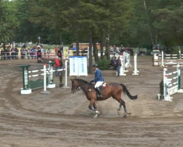 Pfingstturnier Mettingen 2015