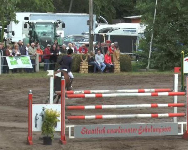 Pfingstturnier Mettingen 2015