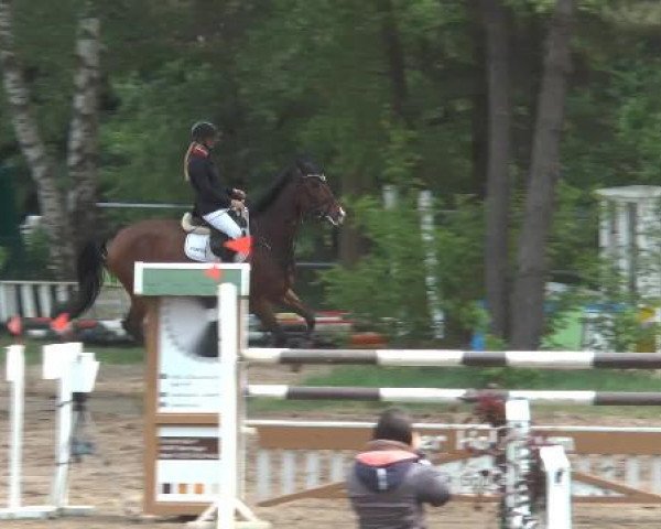 Pfingstturnier Mettingen 2015