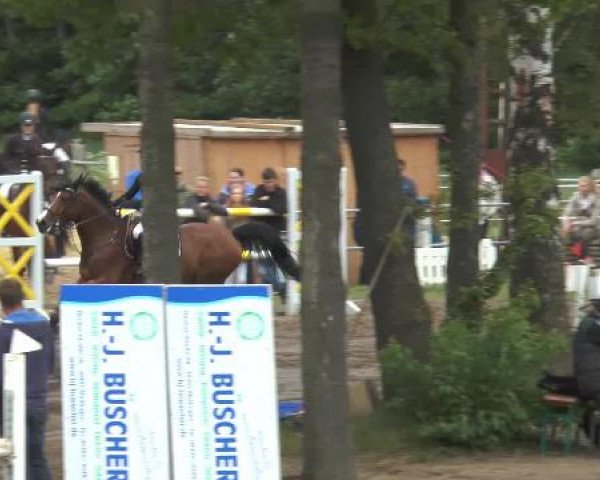 Pfingstturnier Mettingen 2015