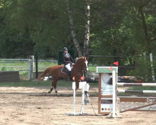 Pfingstturnier Mettingen 2015