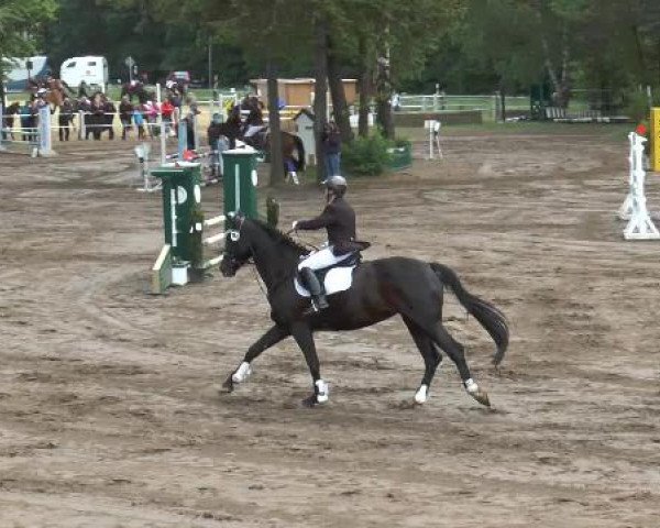 Pfingstturnier Mettingen 2015