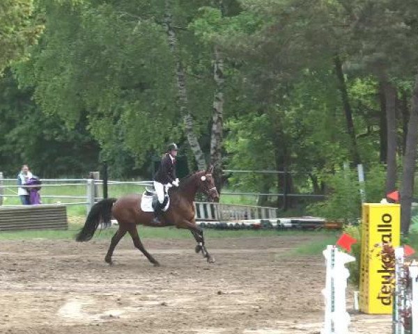 Pfingstturnier Mettingen 2015