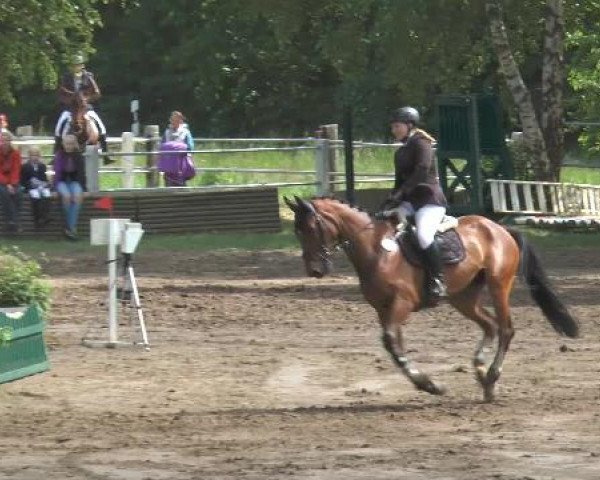 Pfingstturnier Mettingen 2015