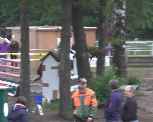 Pfingstturnier Mettingen 2015
