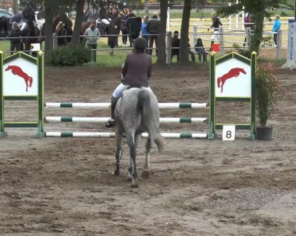 Pfingstturnier Mettingen 2015