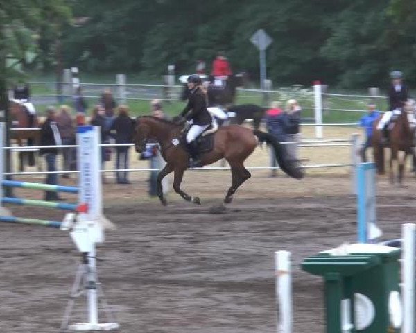 Pfingstturnier Mettingen 2015