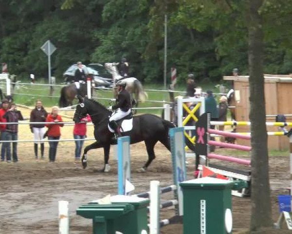 Pfingstturnier Mettingen 2015