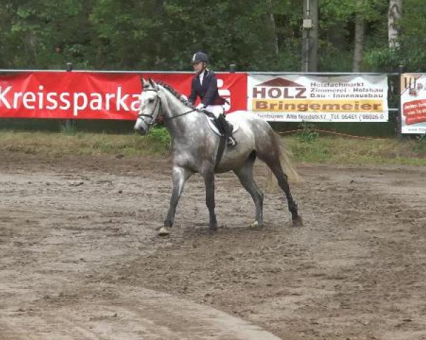 Pfingstturnier Mettingen 2015