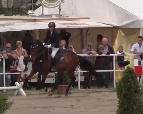 Großes Langenauer Reitturnier 2015