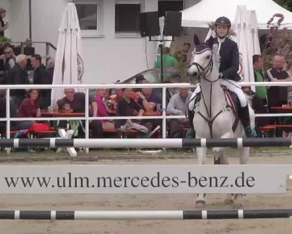 Großes Langenauer Reitturnier 2015